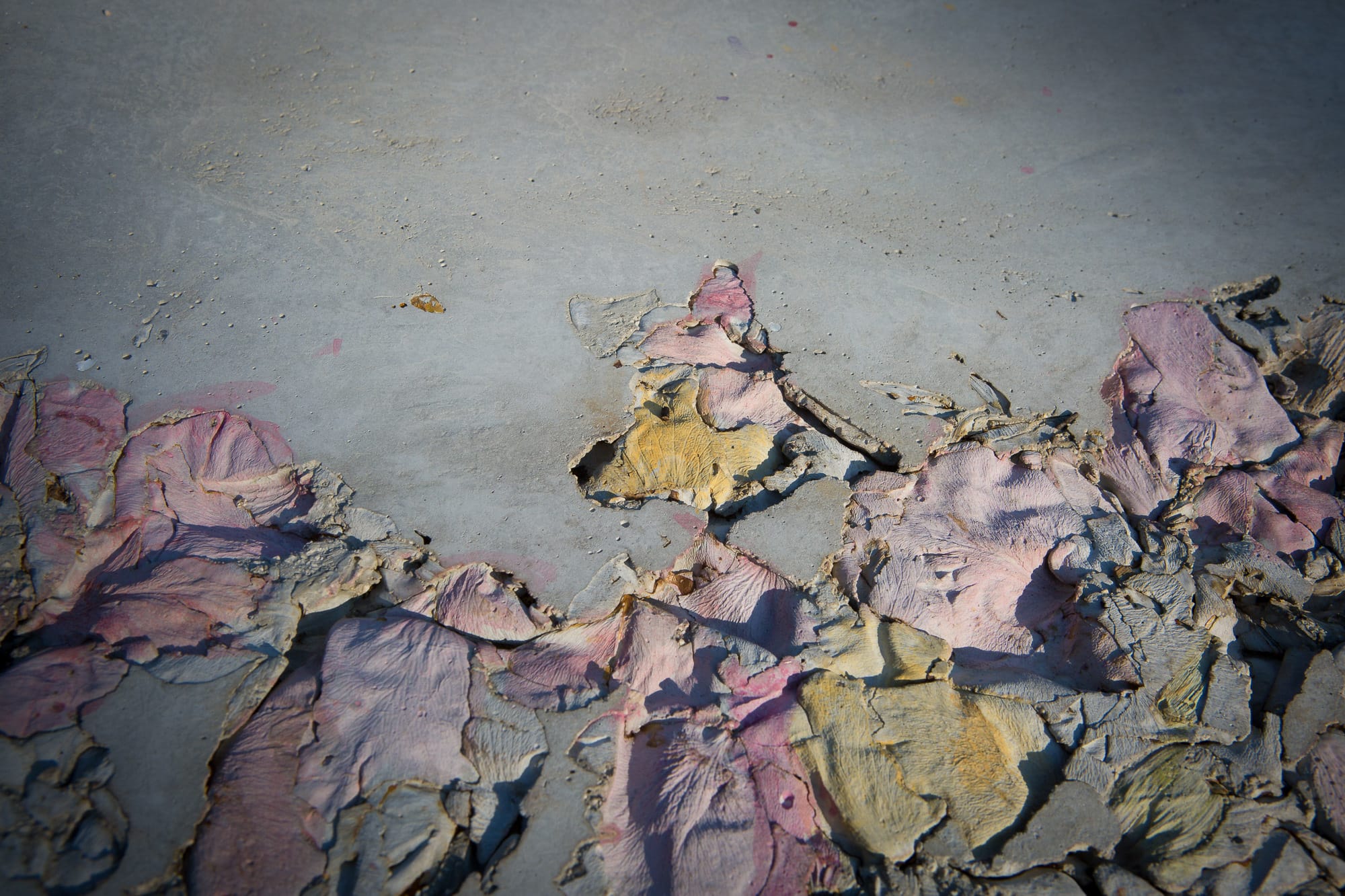 Alessandro_Piangiamore_8