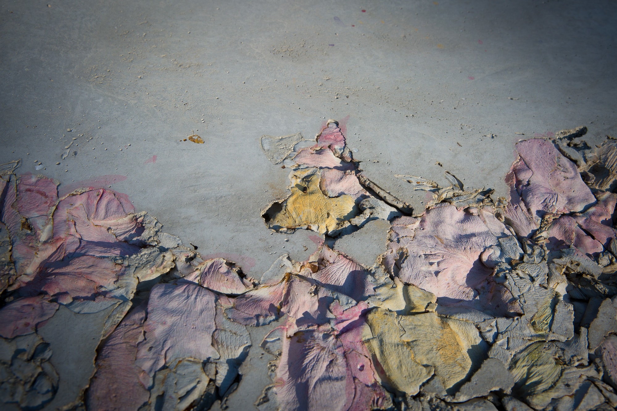 Alessandro_Piangiamore_8