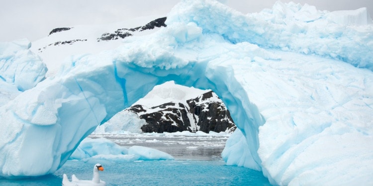 The Fine Art Photography of Gray Malin