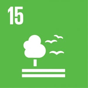 E_SDG_Icons_NoText-15