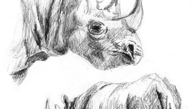 Scientific Illustration: Martina Bisaz