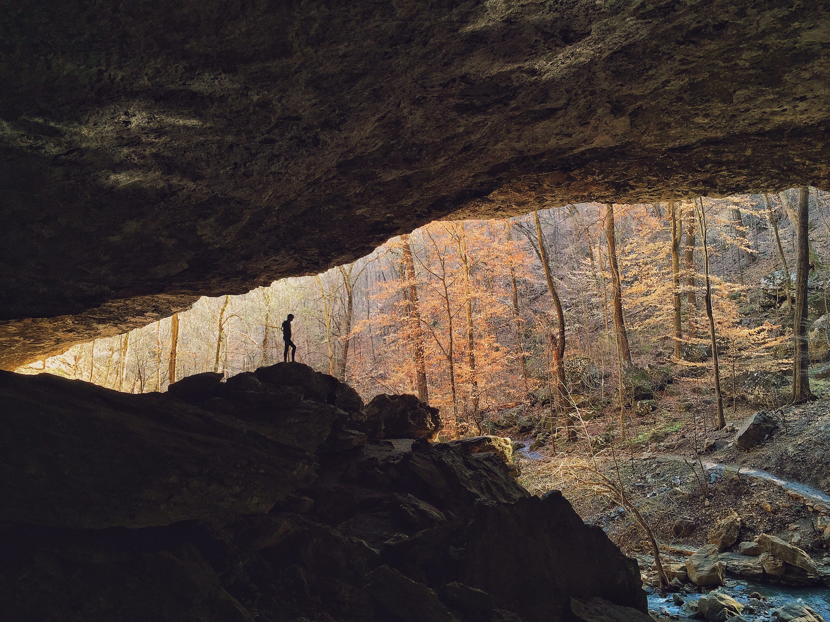 Tim Landis: The Curious Photographer