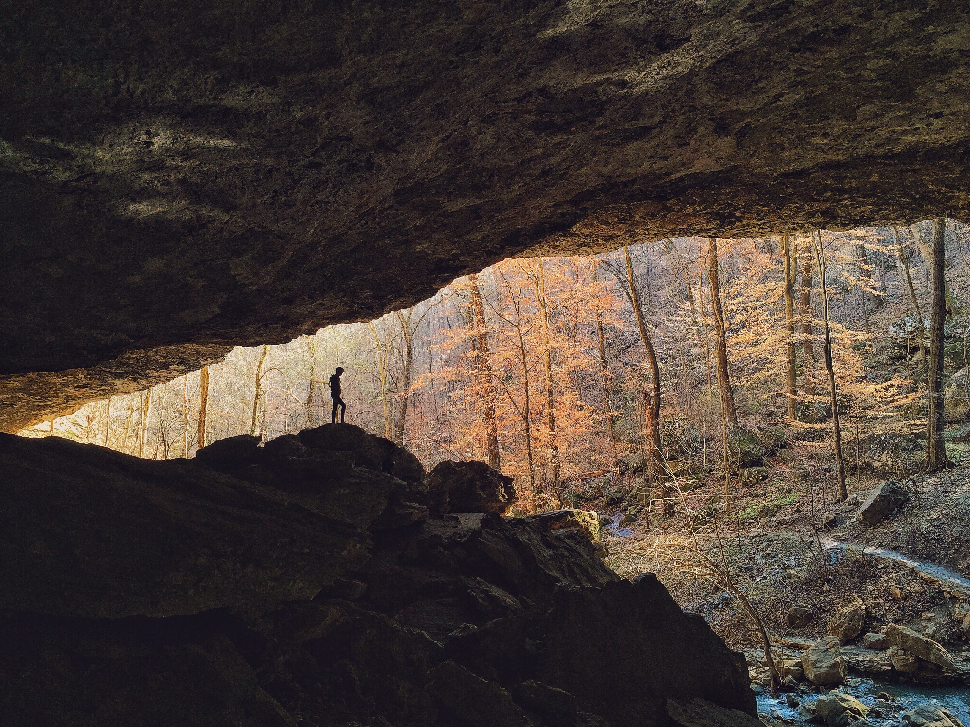 Tim Landis: The Curious Photographer