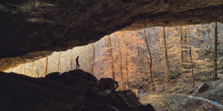 Tim Landis: The Curious Photographer