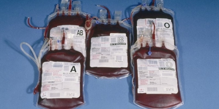 Still Craven After All These Years