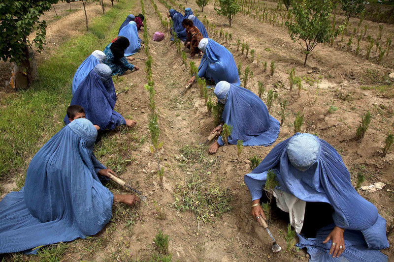 The United Nations, through its International Fund for Agricultural Development (IFAD), will provide a grant of US$58 million to Afghanistan for an initiative aimed at improving food security by enhancing the skills, services and income opportunities of rural women and men. The project seeks to improve agriculture and livestock productivity by building the capacity of community organizations and local government agencies to buoy locally-owned and led development.