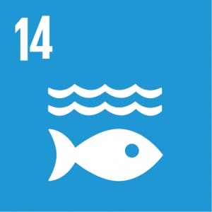 E_SDG_Icons_NoText-14