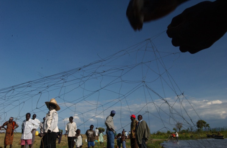 05 November 2003, Bondo, Kenya - Fishermen and participants in a Farmer Field School repairing nets after a day of fishing on Lake Victoria.FAO Project: TCP/KEN/2901 - Horn of Africa Initiative: Reducing Chronic Hunger in Bondo District. Objectives: The aim of the proposed TCP project is to develop and gain experience in the initial implementation of a District level institutional model for supporting community-driven food security projects while, at the same time, having a positive, rapid and inclusive impact on the health and nutrition of selected communities within Bondo District. The model, which would be subject to adjustment during implementation on the basis of acquired experience, would enable communities to plan and implement small-scale activities contributing to food security, with technical support from the line departments, NGOs and trained facilitators selected from amongst their members. The project is experimental and seen as providing a significant learning opportunity for both the GoK and FAO as they search for increasingly effective means of achieving the goals of the World Food Summit.