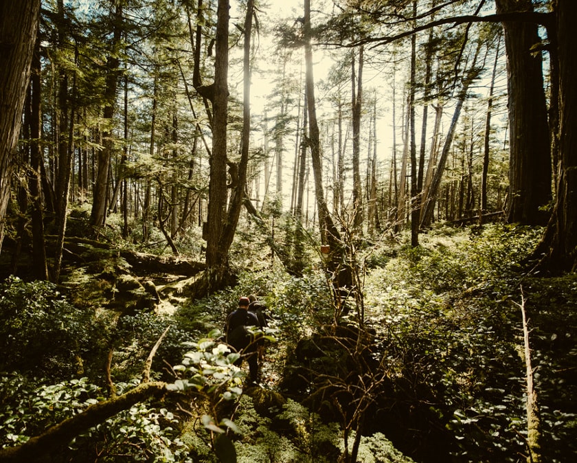 Landscape Photography: a Play of Patience