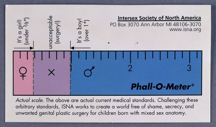 Phall-O-meter
