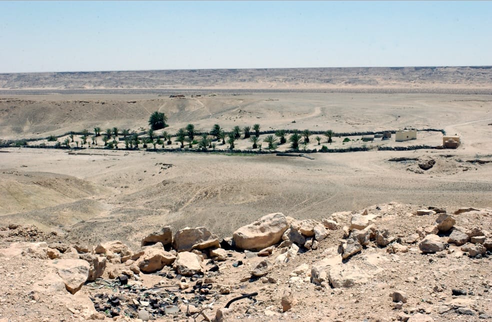 The Western Sahara Scandal: The Forgotten Emergency