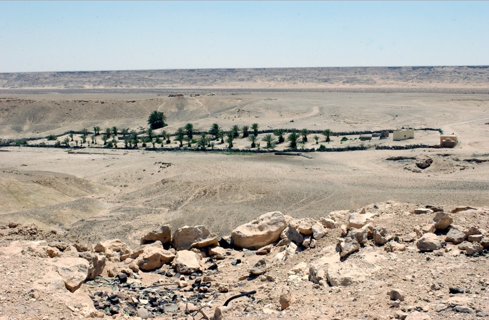 The Western Sahara Scandal: The Forgotten Emergency