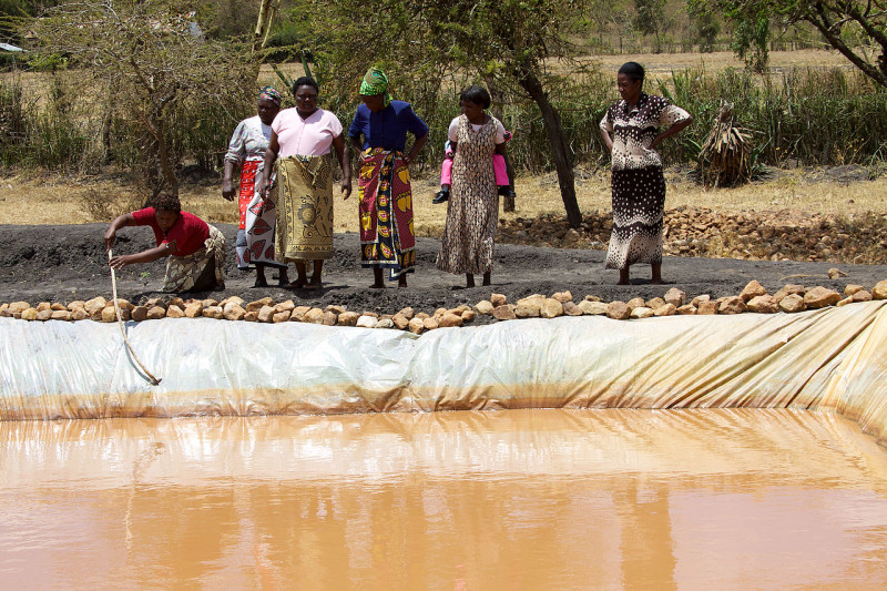 Small scale aquaculture: A 22-member women's agriculture group in Machakos, Kenya runs a fish pond enterprise. (source: Wikimedia)