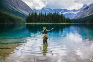 AndyBest_Treeline15_Marvel-5-L