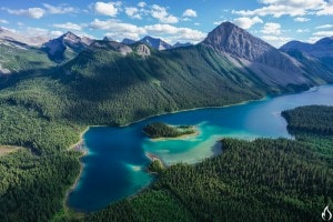 AndyBest_Treelinefilm_Marvel-21-L