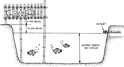 Integrated backyard pig-fish culture in the Phillippines (source: FAO)