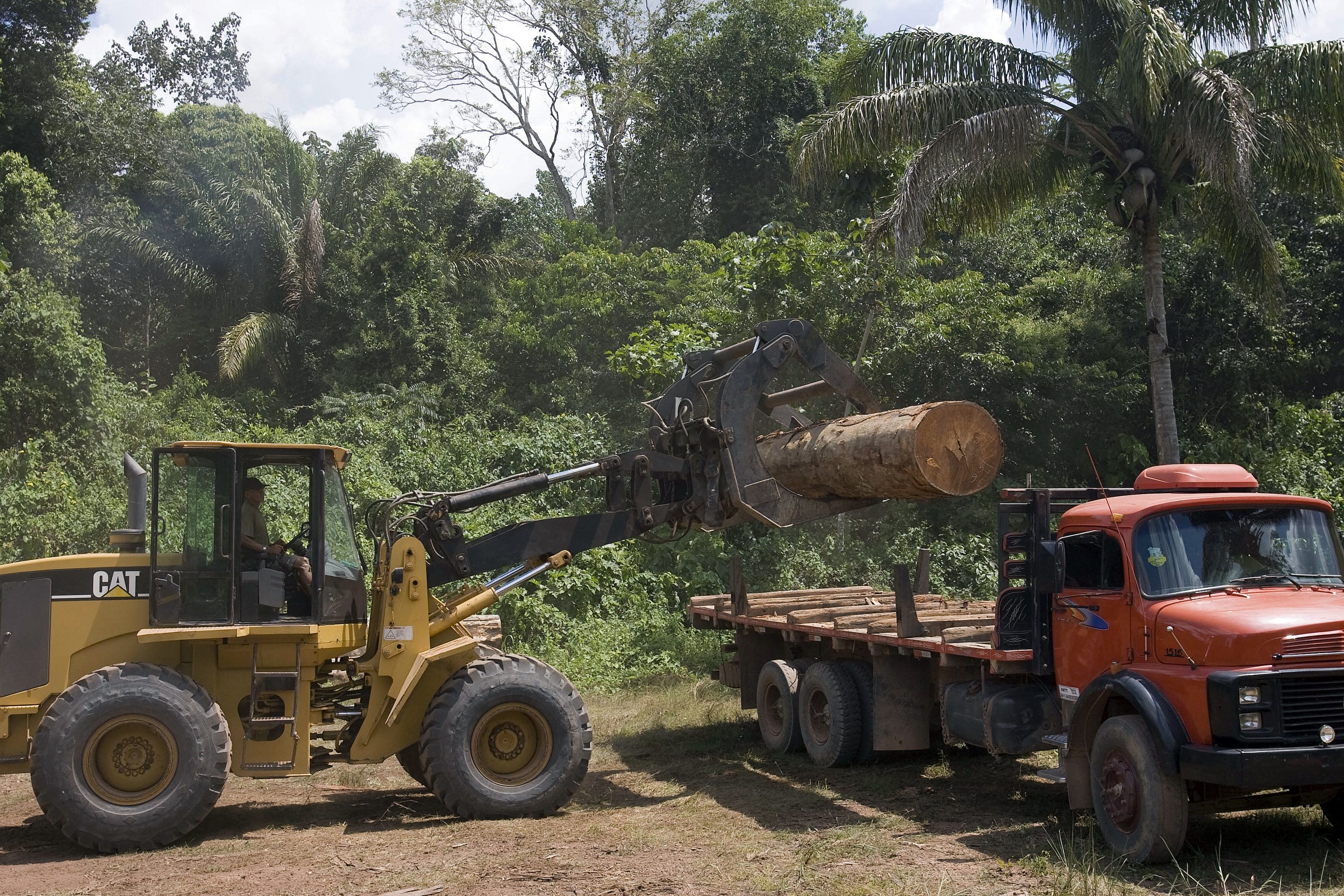 Brazil, the largest and most populous country in Latin America and the fifth largest in the world in both area and population is also where nearly 40 percent of all the tropical rainforest left in the world is found. In the National Tapajos forest, in the state of Para, about 7000 people in 35 communities live in government protected forests. These photos are taken inside the protected area and portray the coexistence of the forest and the people. Legal tree cutting