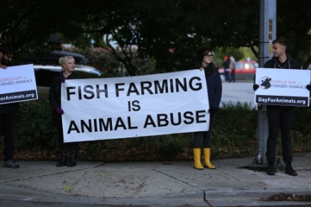 Protesters near the American Gold Seafood Company, Seattle 2013 (source)