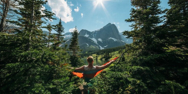 We are Still Wild with Andy Best