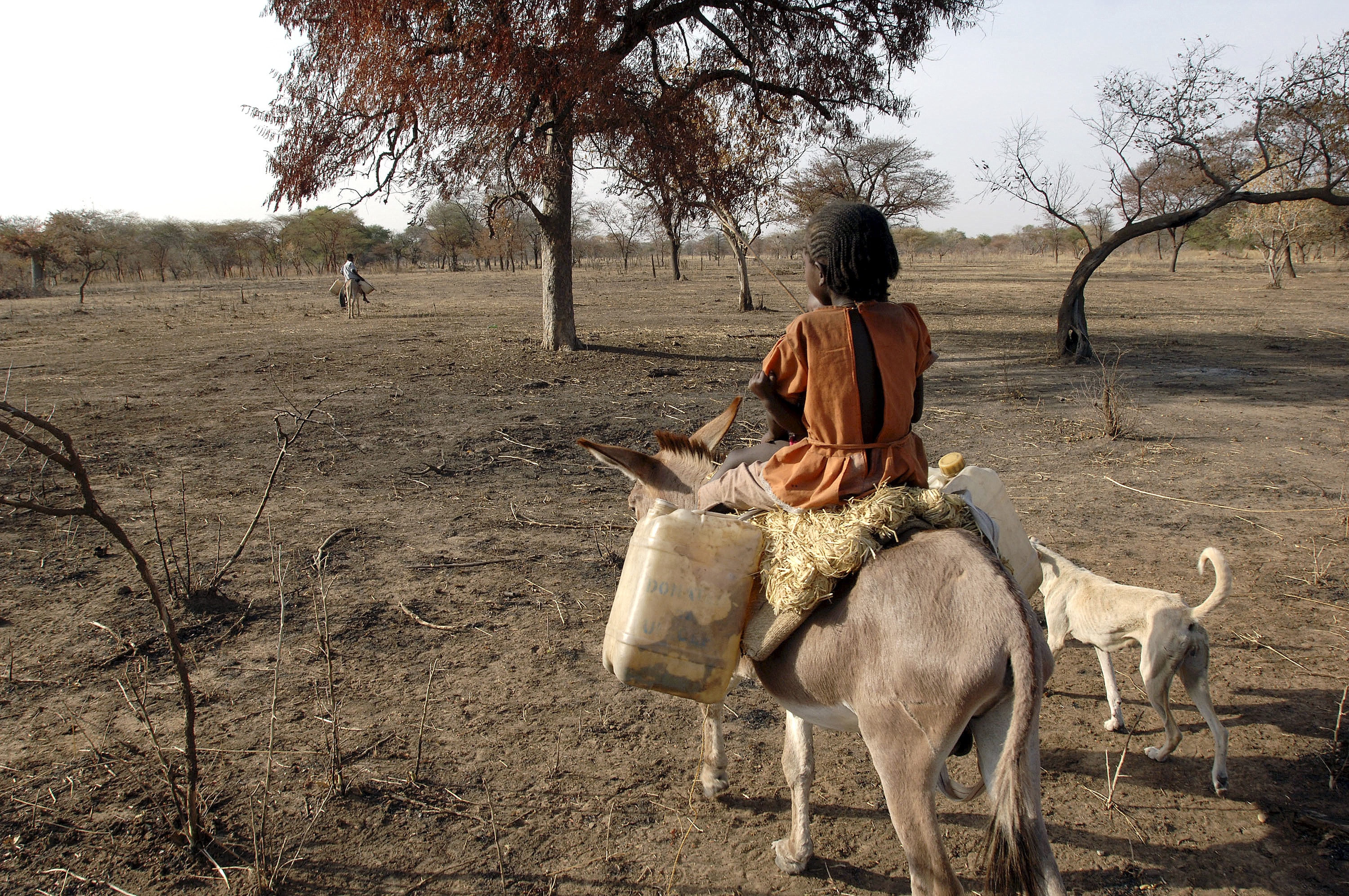 As their wet season pastures dry up, the Misseriya move south with their cattle in an annual migration which brings them to their dry season pastures in the Abyei area from December through April. The Misseriya move south from Nov-Dec and return north from May-June. The Misseriya and the Dinka compete over scarce water and grass for their cattle during the dry season.