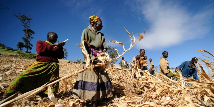 An Accelerator with a Development Impact