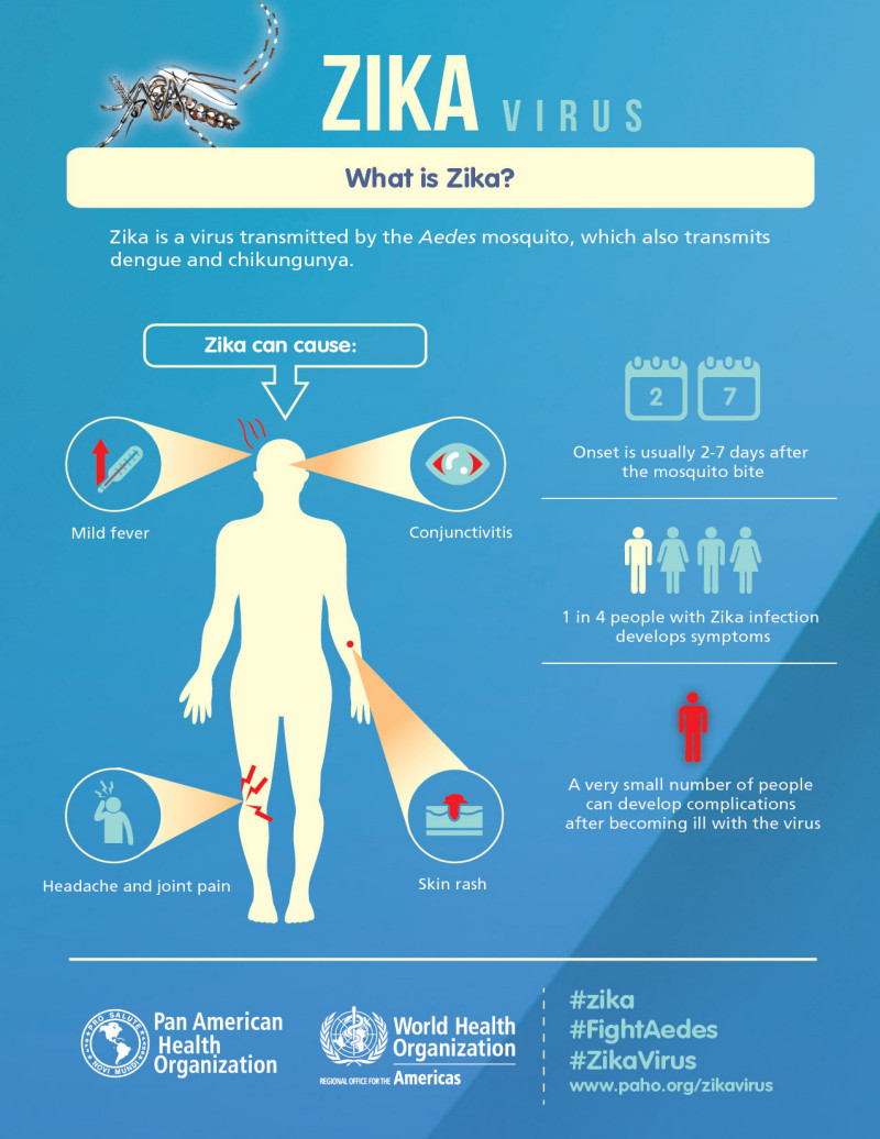 Zika Inforgraphic