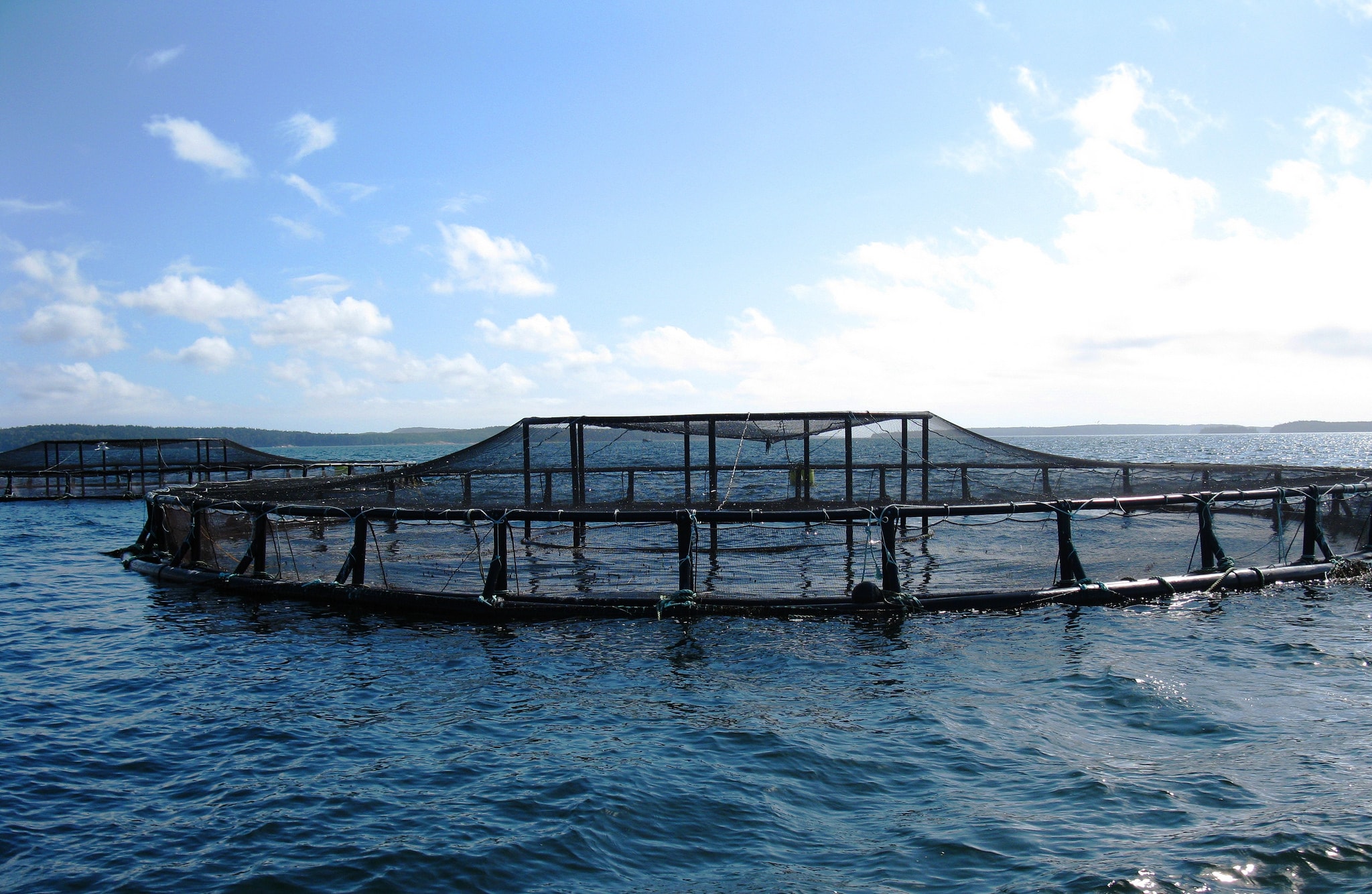 FARMING IN WATER: THE CHALLENGES OF AQUACULTURE