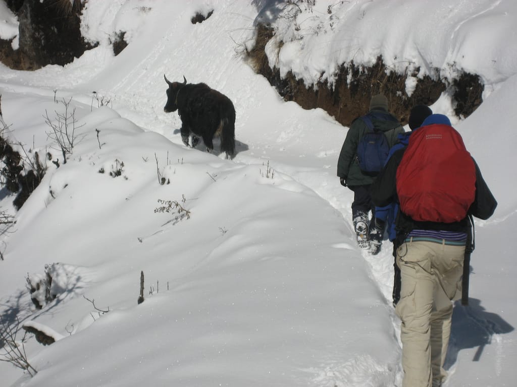 2430277283_b748f61121_b