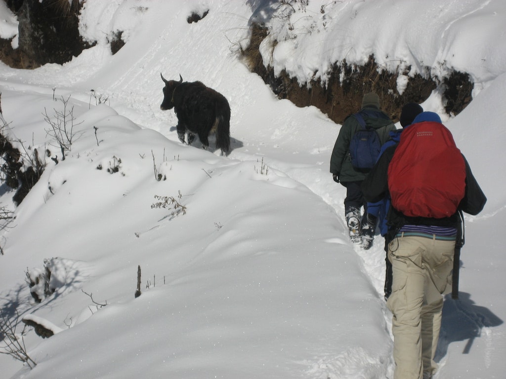 2430277283_b748f61121_b