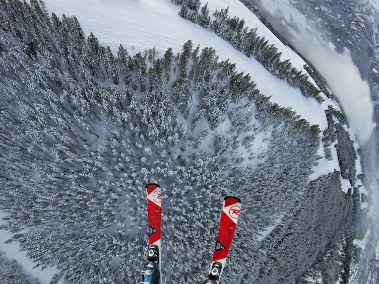 Discovering Nature with Dax Justin