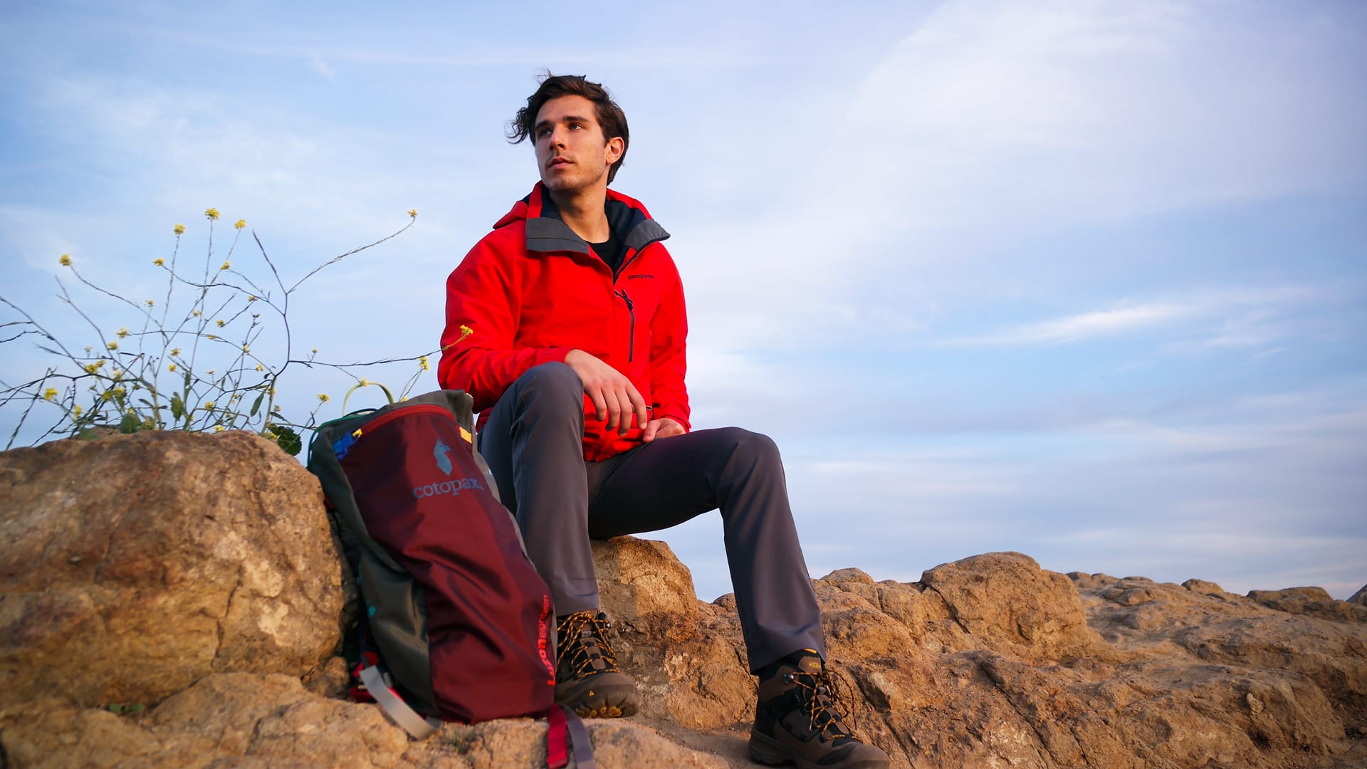 Edward Heinrich Cotopaxi