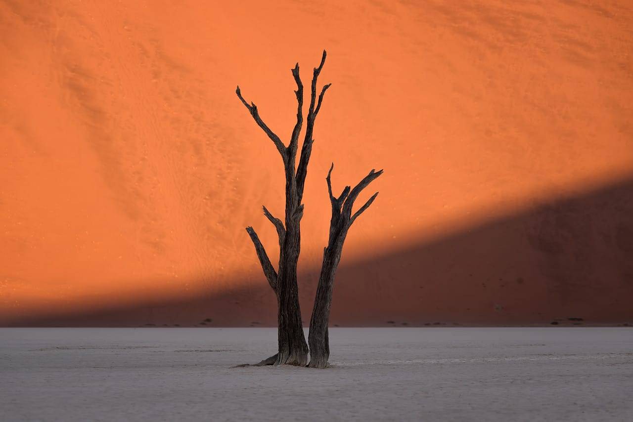"The sun strikes the bright orange sand dunes behind the skeleton of dead tree in Deadvlei, Namibia."