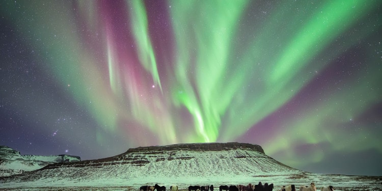 Explore the World with Conor MacNeill