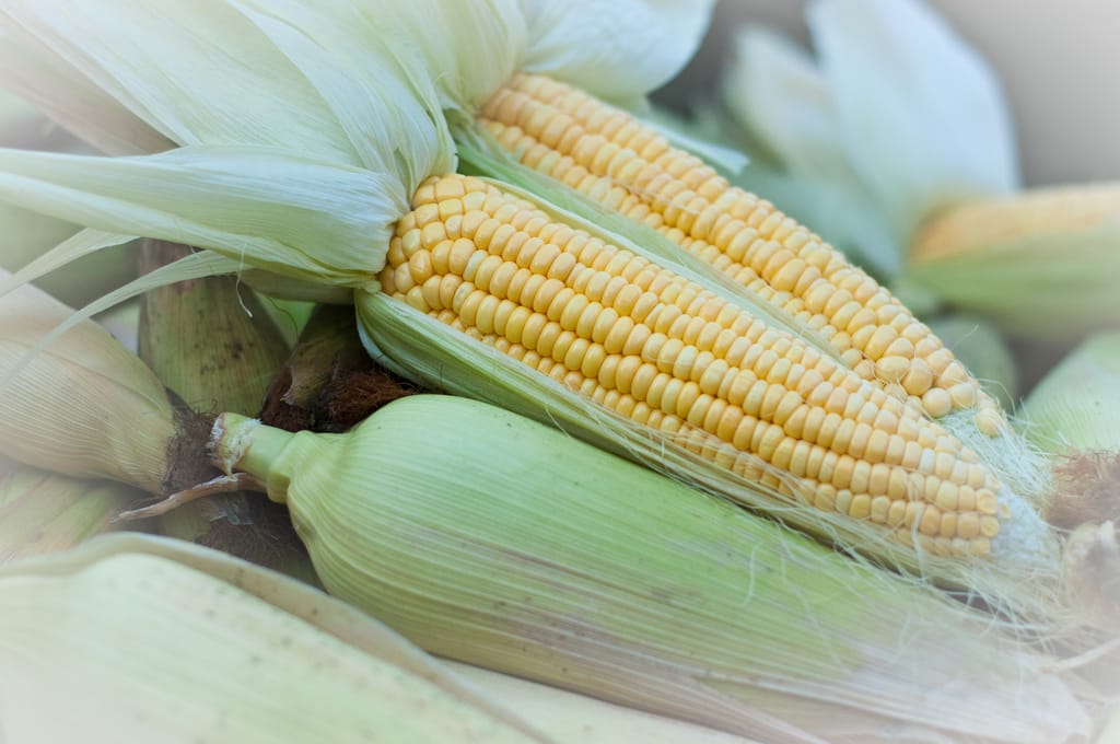 5410583738_3a403b63cd_b