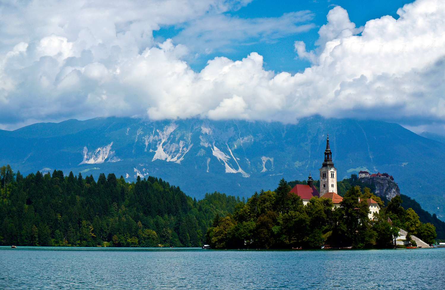 Why Slovenia Could Not Grow Genetically Modified Crops