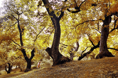 kyrgyzstan-tourism-6