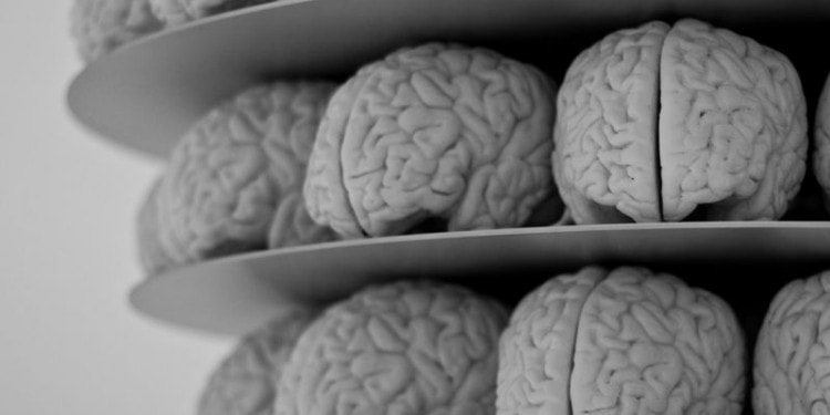 How I Came to Love My Damaged Brain