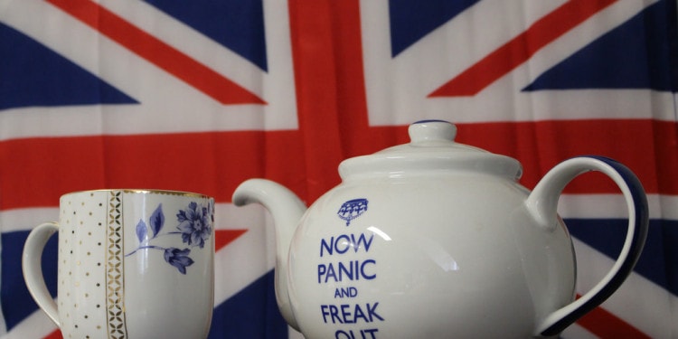 Impakter Essay: Why A Referendum is a Bad Idea