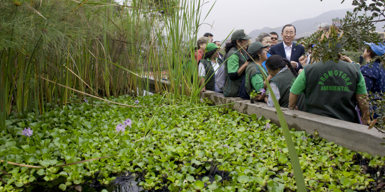 Secretary-General Ban Ki-moon visits a Climate change-related event: “Afforestation of degraded and vulnerable areas in Lima" in the district of El Agustino.