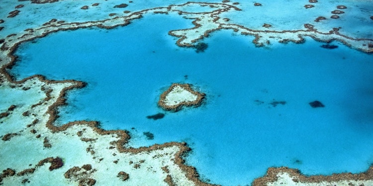 Global Coral Reef Destruction – Can We Stop It?