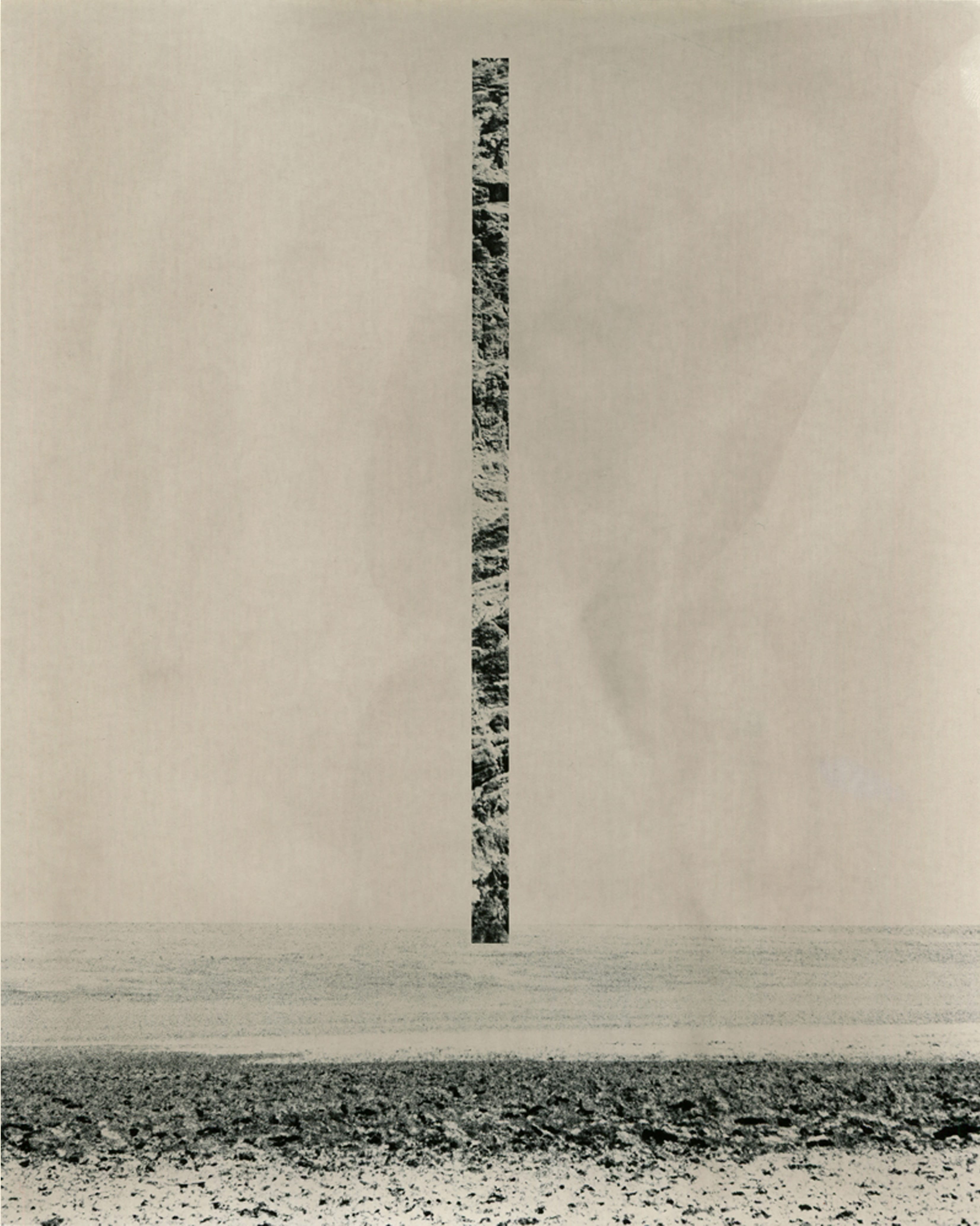 Within the Confines of Nature with Vittoria Gerardi