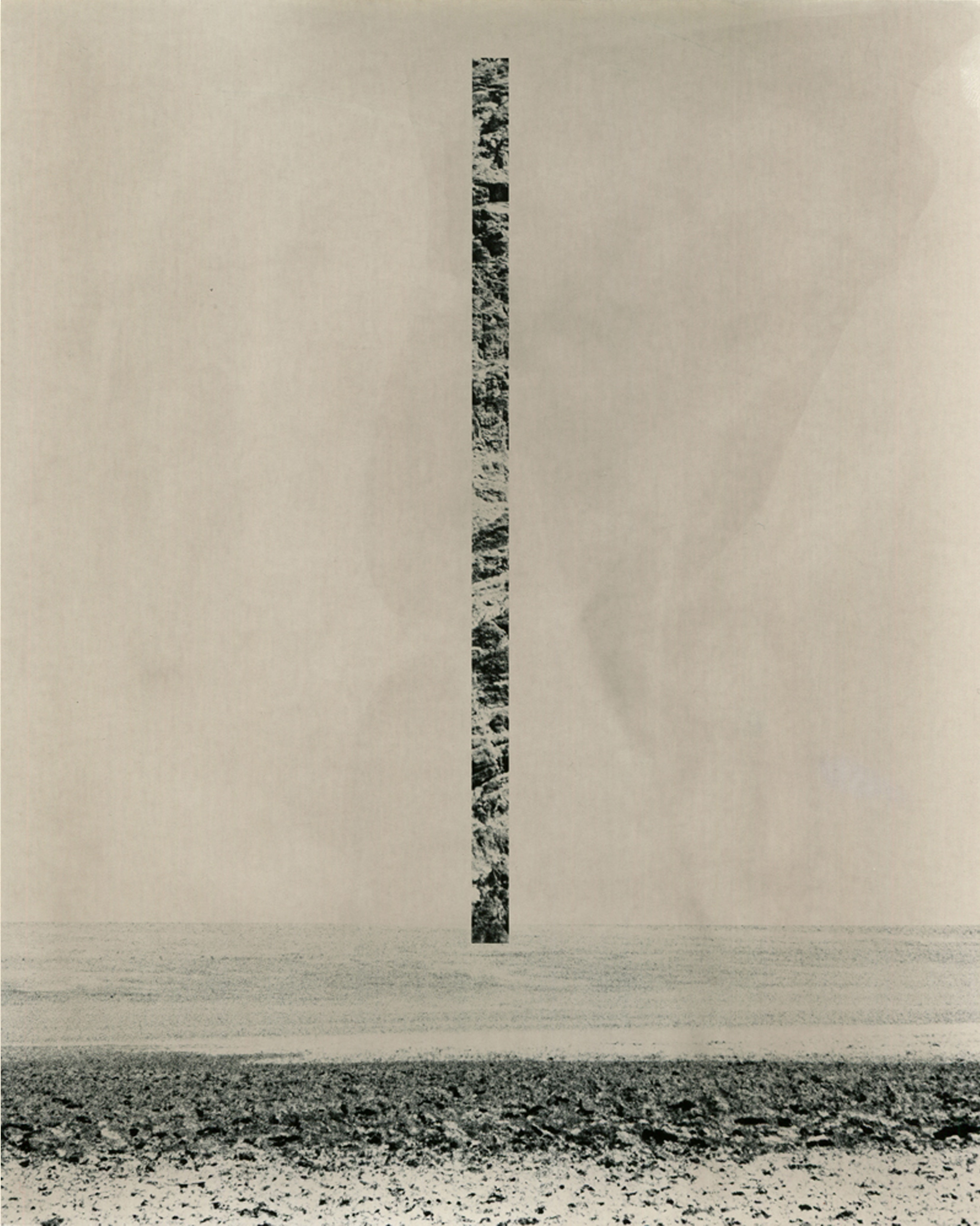 Within the Confines of Nature with Vittoria Gerardi