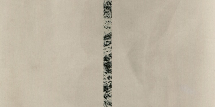 Within the Confines of Nature with Vittoria Gerardi