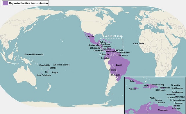 Countries that have active Zika virus transmission as of April, 2016.