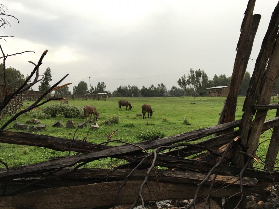 What I Didn’t Know About International Development