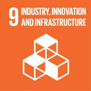 SDG9Icon
