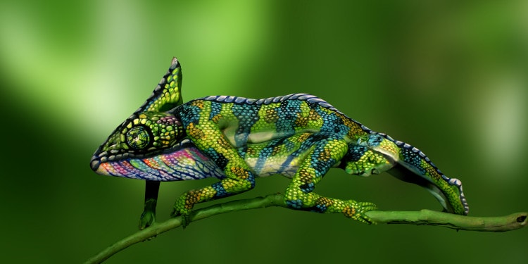 A New Realm of Disguise with Johannes Stötter