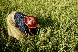 UN Martine Perret, IMPAKTER , SDGS