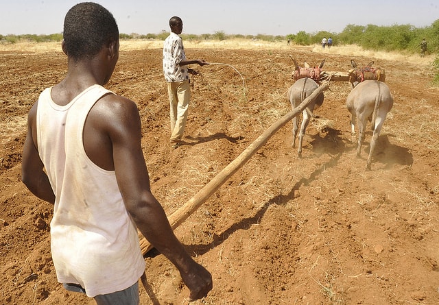 6808807459_1ca8473ccb_z