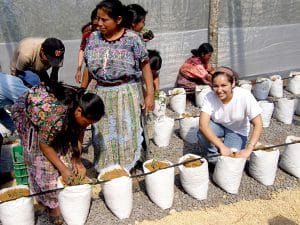 8448067199_2b46b7078e_k